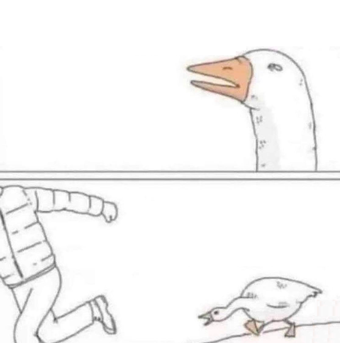 Angry Goose meme template
